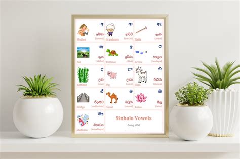 SINHALA Alphabet POSTER Vowels Print With Words and English Translations, SINHALA Alphabet Chart ...