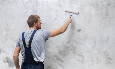 5 Best Mold Resistant Paint | Reviews + Guide