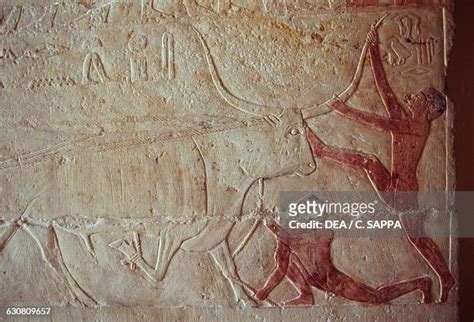 30 Khnumhotep And Niankhkhnum Stock Photos, High-Res Pictures, and Images - Getty Images