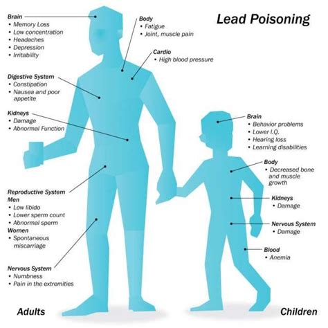 Health Effects of Lead in Drinking Water in 2023 | Health, Bones and ...