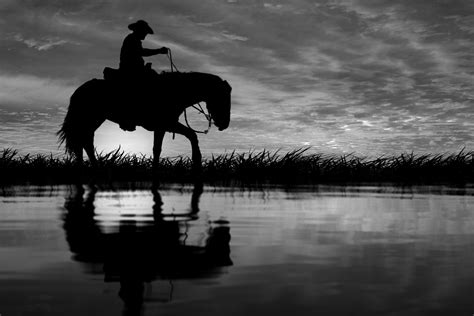 Horse Silhouette Cowboy Free Stock Photo - Public Domain Pictures