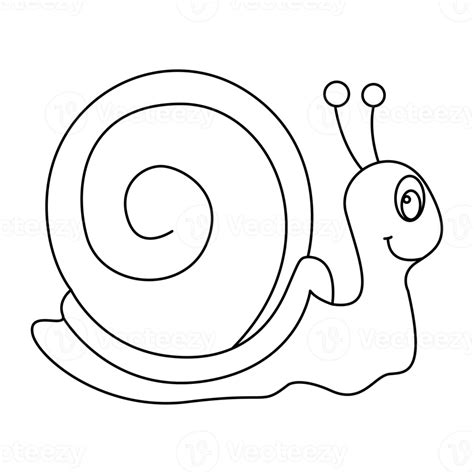 Snail outline vector cartoon design on transparent background 9377819 PNG