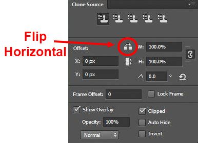 12 Tips for Mastering the Clone Stamp Tool in Photoshop