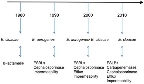 Frontiers | Enterobacter aerogenes and Enterobacter cloacae; versatile bacterial pathogens ...