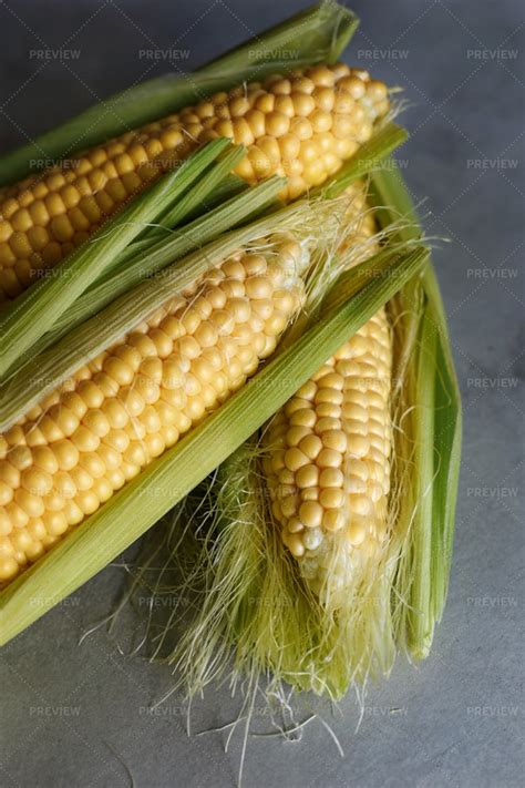 Fresh Corn Close-Up - Stock Photos | Motion Array