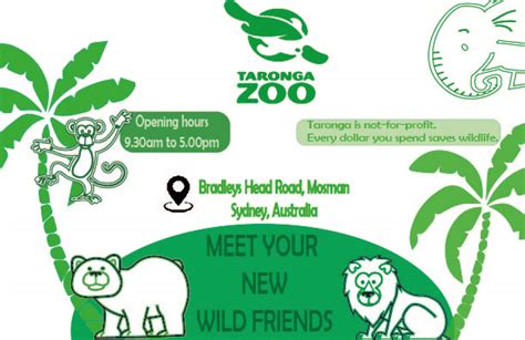 Zoo Flyer - Visual Comm on Behance