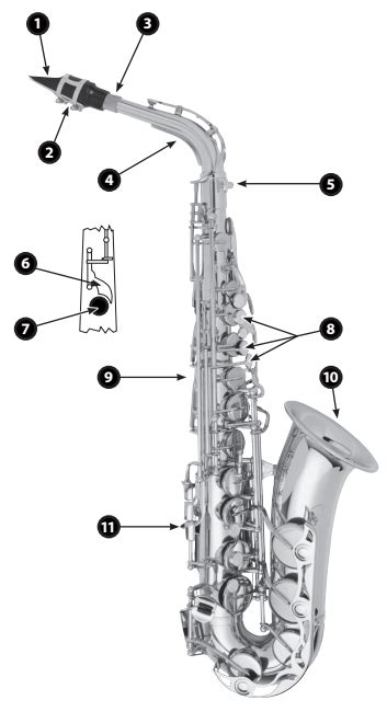 Alto Saxophone Parts Diagram | Quizlet