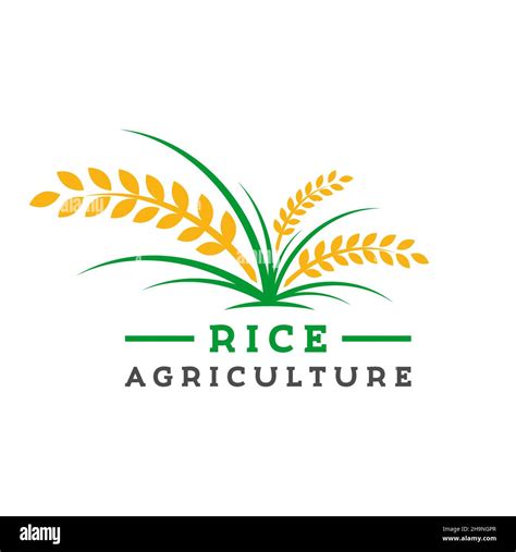 rice farming logo design template Stock Photo - Alamy