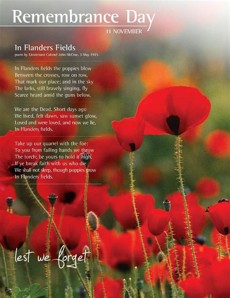 IN FLANDERS FIELDS POEM By... - Elgin County Library