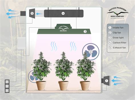 Cannabis Grow Room ventilation Setup Guide | Dutch Passion