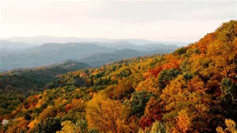 Guide: When, where to see breathtaking peak Fall colors in Tennessee