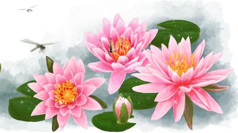 Pink And White Lilies Wallpapers - Wallpaper Cave