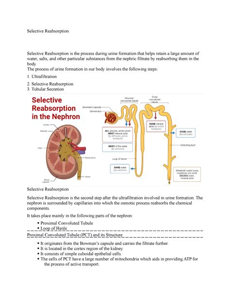 Selective Reabsorption - Selective Reabsorption Selective Reabsorption is the process during ...