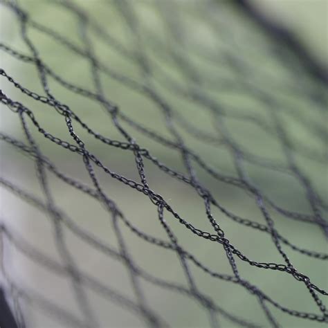 Poultry & Chicken Netting For Cage Roof - Harrod Horticultural (UK)