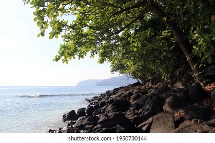 Beautiful Photos Beach Located Lampung Indonesia Stock Photo 1950730144 | Shutterstock