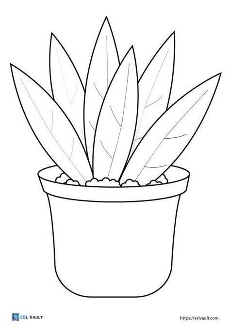 20 Free printable plant coloring pages - ESL Vault