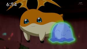 Patamon - Wikimon - The #1 Digimon wiki