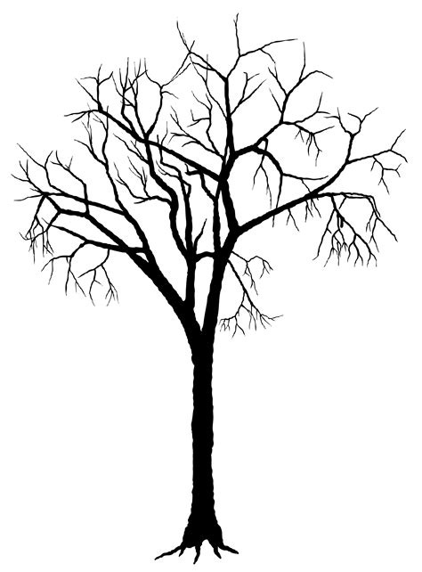 Dead Tree Drawing at GetDrawings | Free download