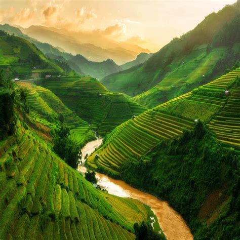 Rice Terraces In Mu Cang Chai In The Countryside Of Vietnam, Southeast ...