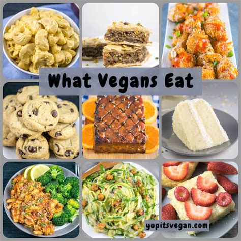 An Introduction to What Vegans Eat | Yup, it's Vegan