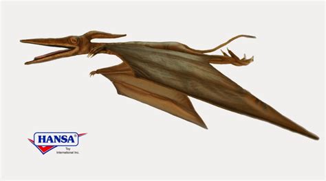 5719-Pterodactyl 265 cm. wingspan – Hansa Creation Inc.