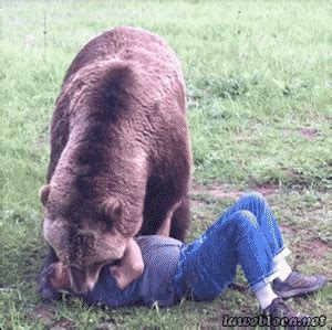 Grizzly Bear Hug GIF - Find & Share on GIPHY