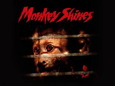 Monkey Shines (1988) - Rotten Tomatoes