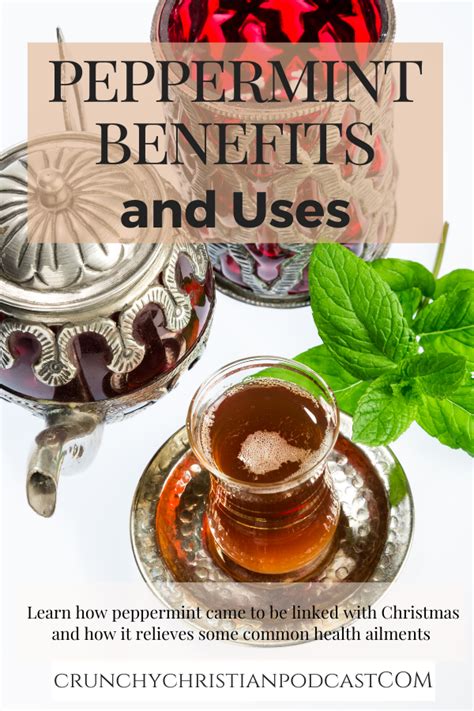 Peppermint Benefits and Uses - Ultimate Homeschool Podcast Network