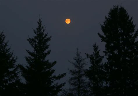 Eclipse By Fire! Smoky Haze Pervades Night Sky, Darkens Moon