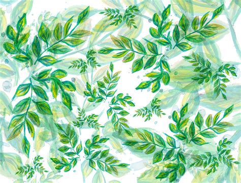 Leaves, Green, Pattern, Nature, Free Stock Photo - Public Domain Pictures