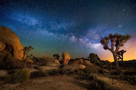 A Night in Joshua Tree - Joshua Tree National Park at night, with the Milky Way above ...