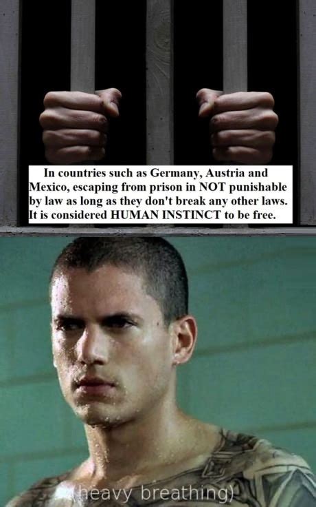 Prison Break Funny Quotes. QuotesGram