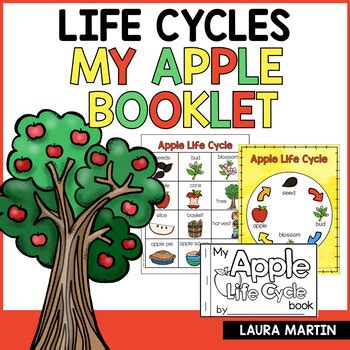 Apple Life Cycle Book by Laura Martin | Teachers Pay Teachers