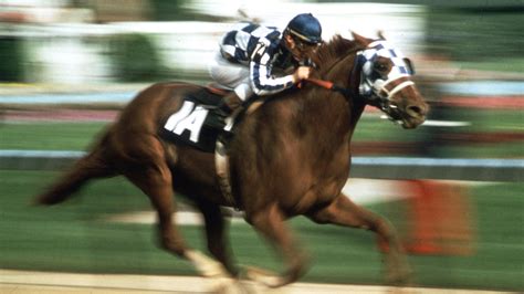 How is author tracking Kentucky Derby winner Secretariat's offspring?