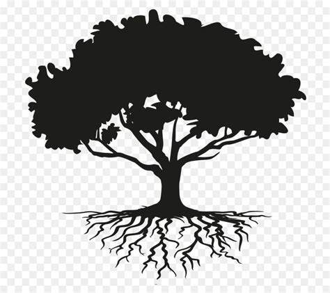 Free Tree Silhouette Roots, Download Free Tree Silhouette Roots png ...