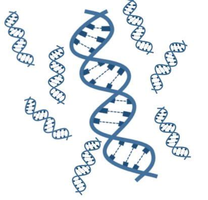 Mekanisme Replikasi DNA dalam 3 Hipotesis – idschool.net