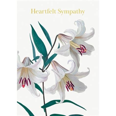 Calypso Lagom Design Lilies Sympathy Card - British Isles