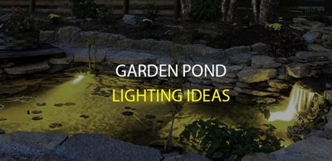 Garden Pond Lighting Ideas | LEDwatcher