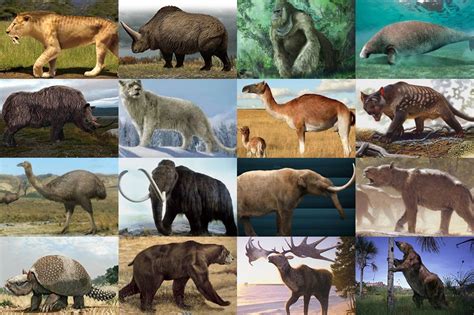 Megafauna of the Pleistocene Quiz