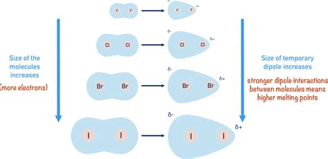 Group 7 Halogens - Boiling Points (A-Level) | ChemistryStudent