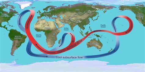 Thermohaline Circulation Diagram | Quizlet