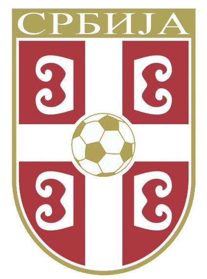 soccer badges/patches에 있는 핀