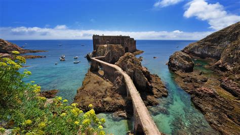 Day Trip to Berlengas Islands Nature Reserve