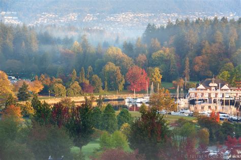 Today in Vancouver: Fall Colors in Stanley Park | Rikki / Julius Reque ...