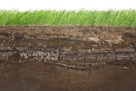 What Is The Relationship Between Soil Texture And Water?