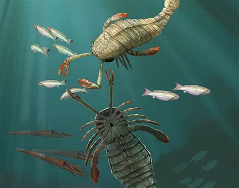 Art illustration - Aquatic animals - Eurypterus: (euríptero ...