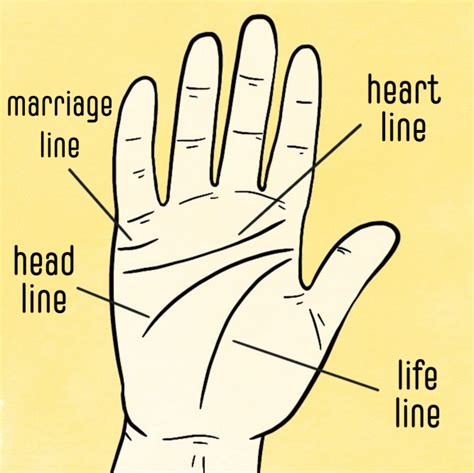 Palm Reading Marriage Line