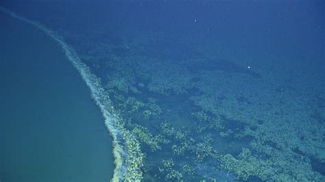 Brine Pools: The Underwater Lakes of Despair | Amusing Planet