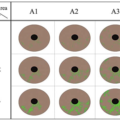 Superficial punctate keratopathy and density scale classification. Area... | Download Scientific ...