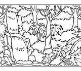 Rainforest Flowers Coloring Pages sketch template